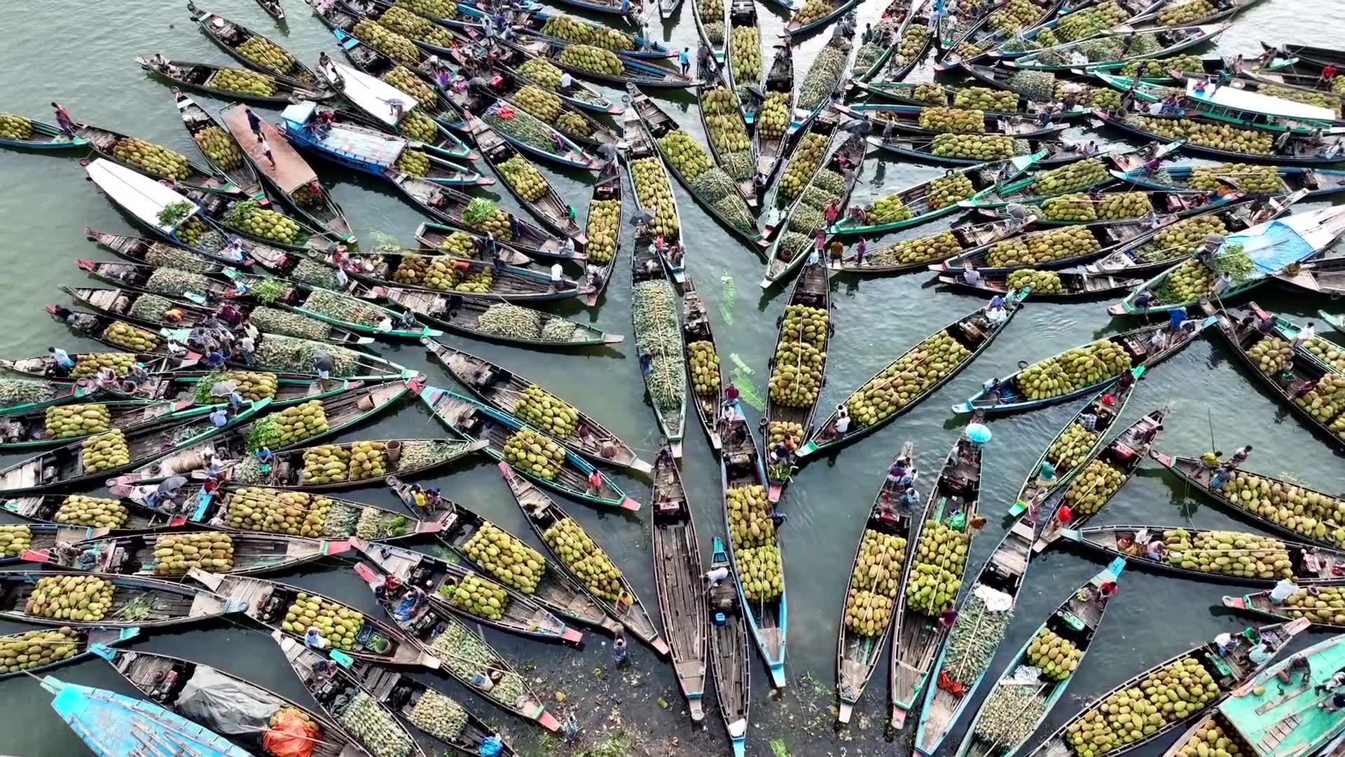 Those Who Depend On The Mekong River Khon2 Those Who Depend On The Mekong River Khon2