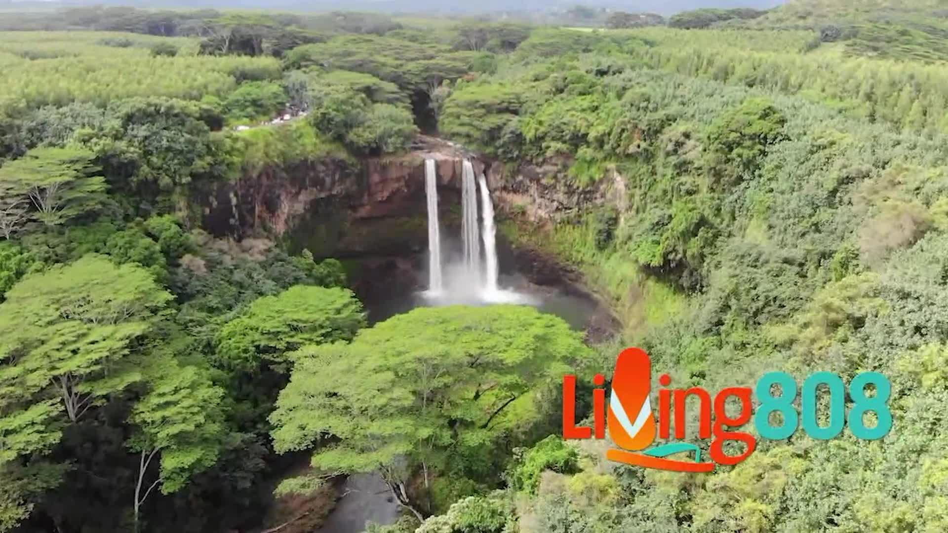 Hvcb HVCB President Shares Why Supporting Travel to Maui Matters Now More ...
