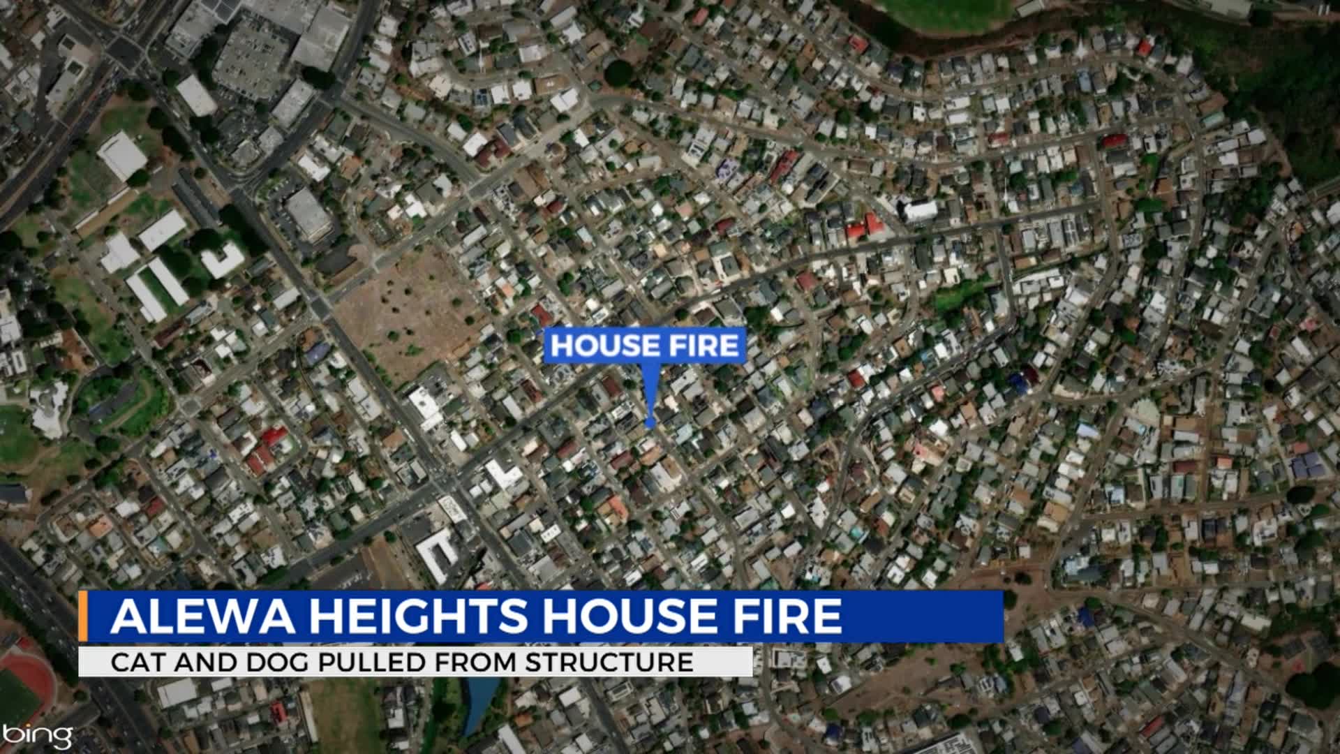 Firefighters rescue 2 pets from Alewa Heights building fire