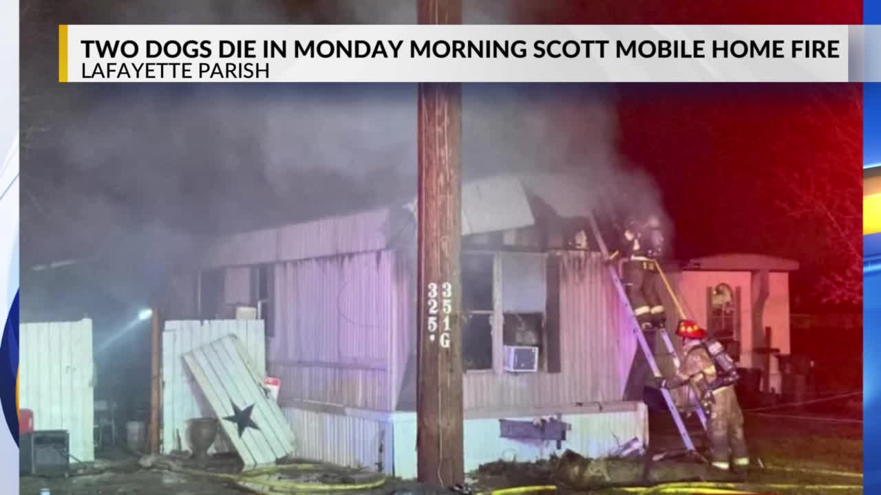 Two dogs die in Monday morning Scott mobile home fire – KLFY.com