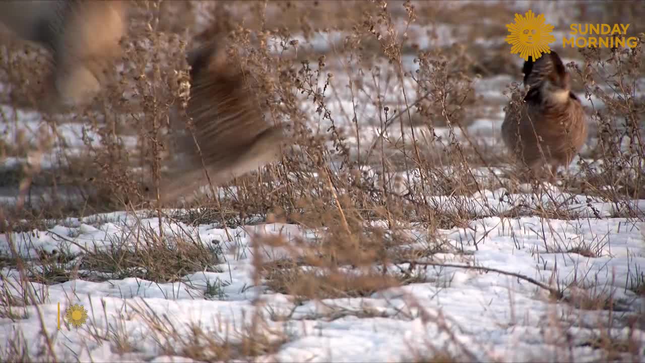 KELOLAND photographer featured on CBS – KELOLAND.com