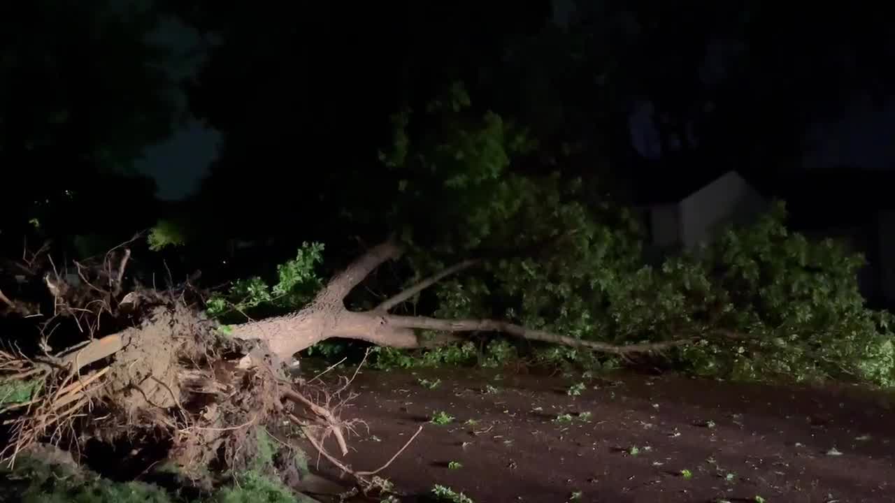 Tree down near 25th and Grandview