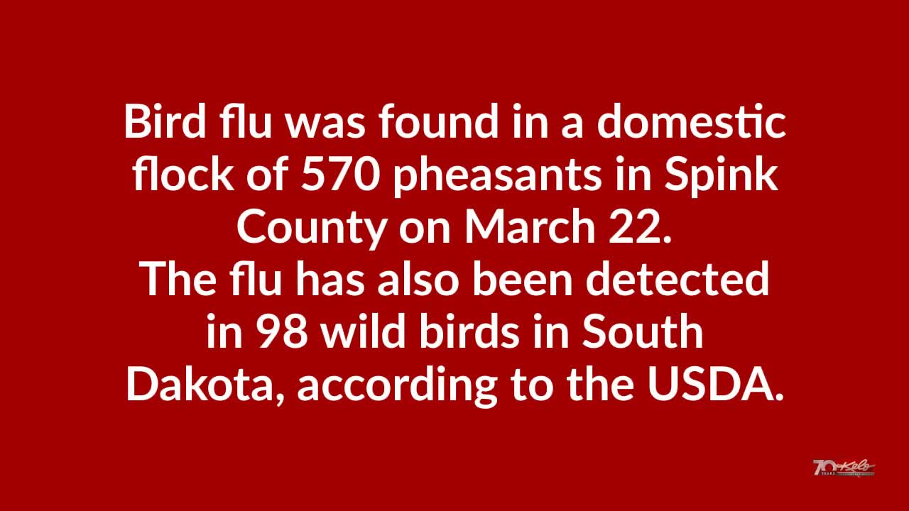 Beadle County has avian flu case