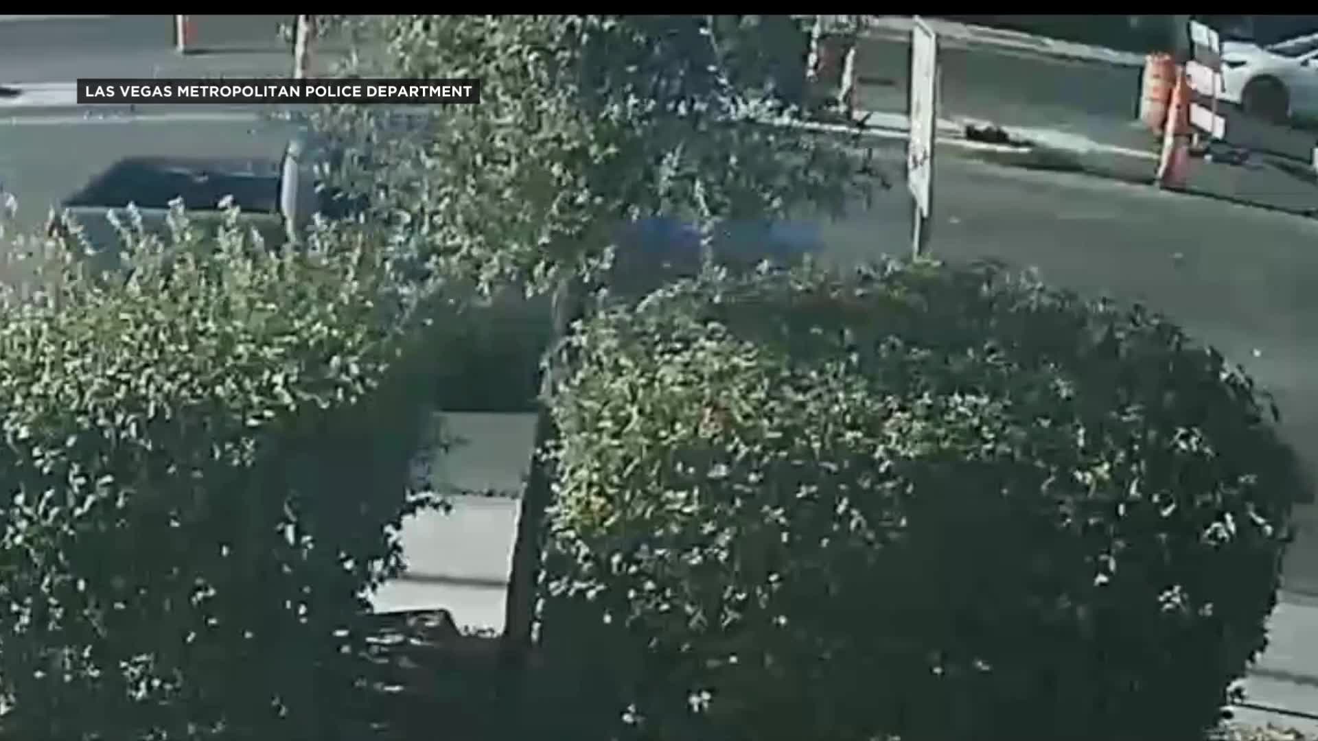 Man killed in possible road rage incident – KLAS