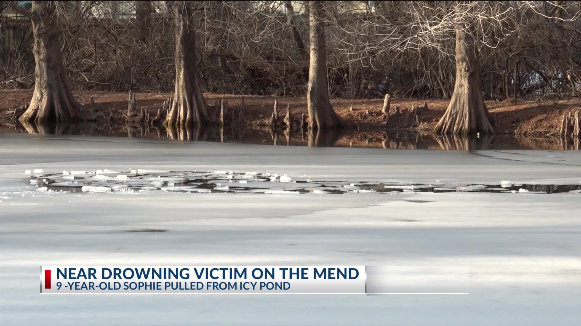 Two adults rescue 2nd grade child from icy pond in Fayetteville – KNWA ...