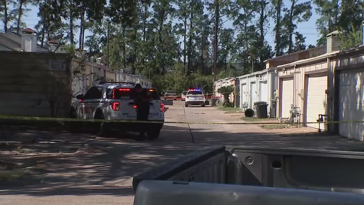 Woman killed in shooting after domestic disturbance – CW39 Houston