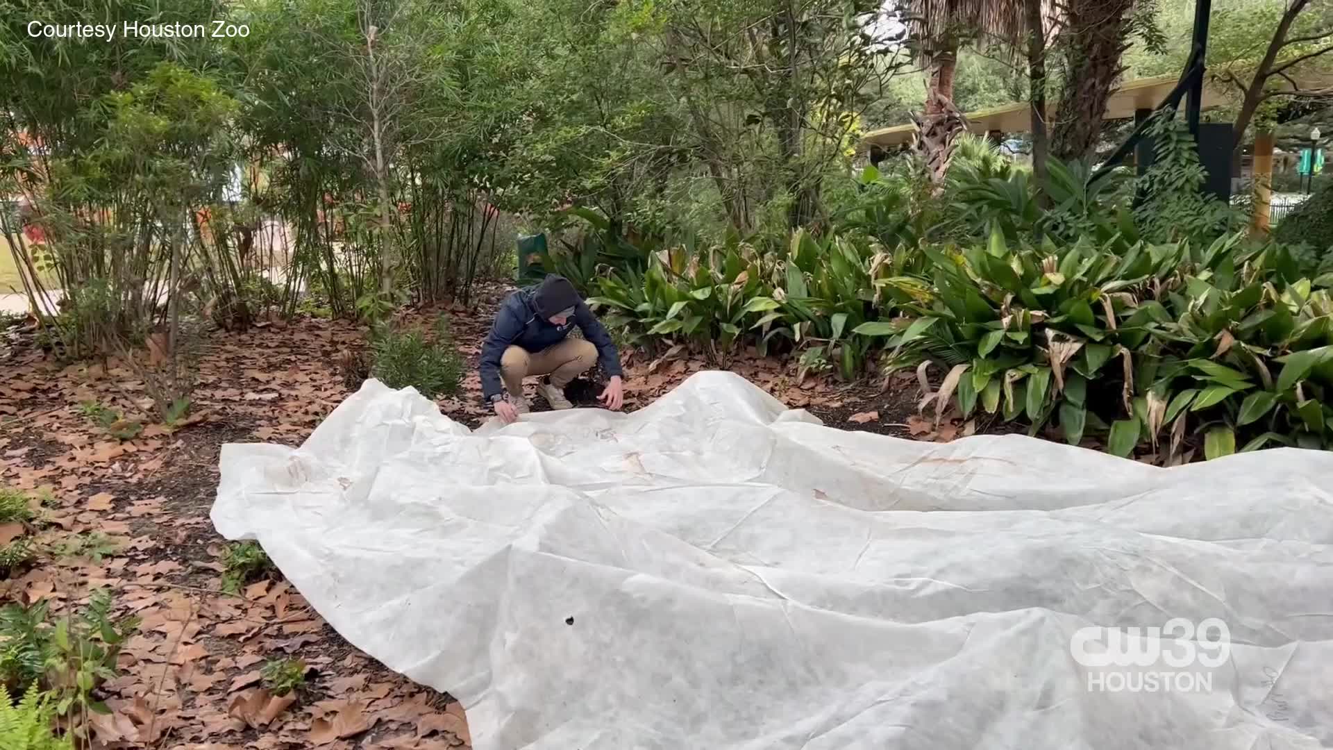 Houston Zoo makes final winter storm preps – CW39 Houston