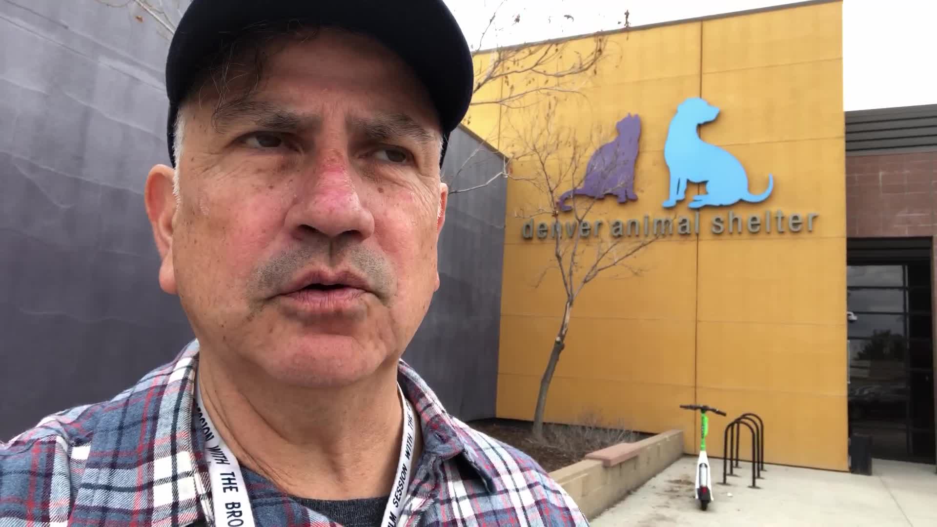Denver Animal Shelter reducing fees on large dog adoptions – FOX31 Denver
